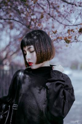 办公室3在线观看免费播放电视剧