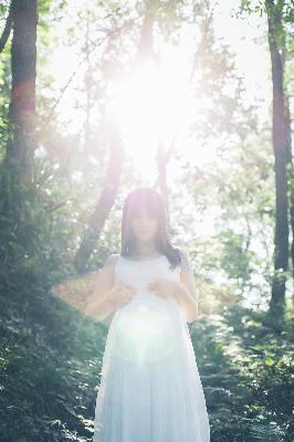 熊出没之神奇宝物