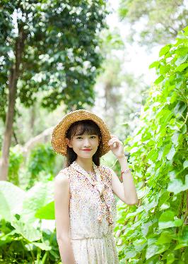 国产剧免费观看完整版高清