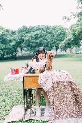 九重紫电视剧免费观看全集在线播放